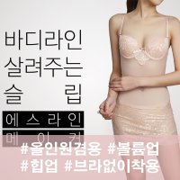 전신보정속옷 에스라인메이커 바이쉐이퍼 올인원 보정속옷홈쇼핑 세트팬티구매가능