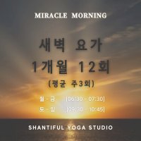 미라클모닝 새벽요가 1개월 평균 주3회 (총 12회)