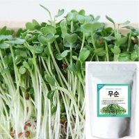 세경팜 무순 1kg 씨앗,새싹채소키우기