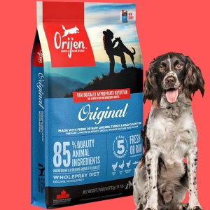(1kg추가+소분팩세트) 오리젠 오리지날 독, 11.4kg, 1개