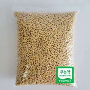 국내산 태기산잣 작은알잣 1kg 백잣 황잣