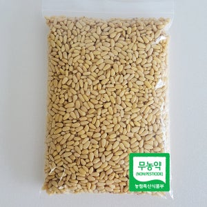 국내산 태기산잣 작은알잣 500g 백잣 황잣