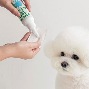 강아지귀세정제 이어클리너 고양이 애견 귀청소 귀염증 외이염 귓병 예방