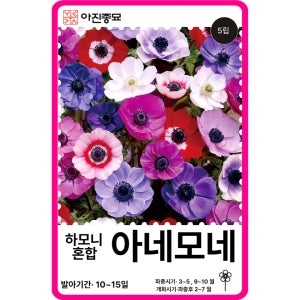 아네모네 하모니혼합 씨앗 5립 / 꽃씨 몰 고급 종자 노지월동 야생화 꽃꽂이