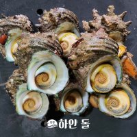 [통영] 자연산 뿔소라 1kg 통영 해녀가 직접 채취