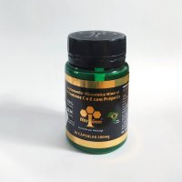 왁스그린 비 프로폴리스(60캡슐) 500mg 6팩 브라질산