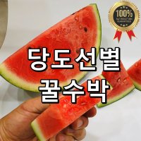 하우스수박 백화점 이마트 국산 고당도 꿀 맛있는 겨울 과일 택배 5kg 6kg