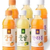 제주도 서귀포 올레원 풋귤 청귤 감귤 한라봉 주스 착즙주스 쥬스 300ml 2개씩 6개