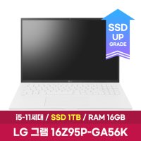 LG전자 LG그램 16Z95P-GA56K / SSD 1TB 교체