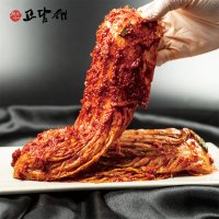 고담채김치 실비김치 맵짱김치1kg(800g+양념200g)