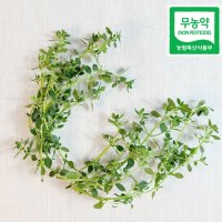 데코용 가니쉬용 허브 생잎 레몬타임 30g