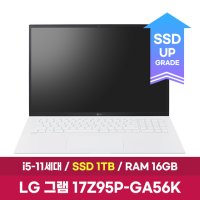 LG전자 LG그램 17Z95P-GA56K / SSD 1TB 교체