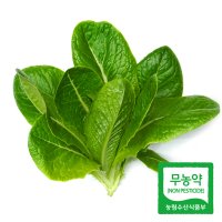 친환경 로메인 상추 500g 샐러드 캠핑 삼겹살 구이용 아쿠아포닉스 채소 야채