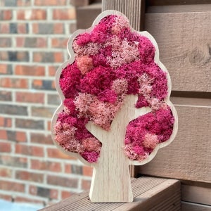 천연이끼 실내공기정화식물 플랜 테리어 스칸디아모스 벚꽃나무 액자 집들이 이사 개업 선물