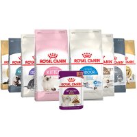 로얄캐닌 고양이사료+템테이션/베이비 키튼 인도어 휘트 기능성 습식사료4kg 10kg