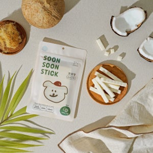 강아지 수제간식 순순스틱 보양식 반려견 대형견 노견 비건 생식 아이스크림 코코넛, 70g, 1개