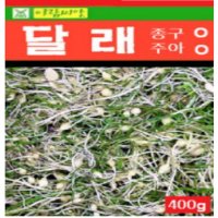 달래 씨앗(400g) 채소 종자 (A0033)