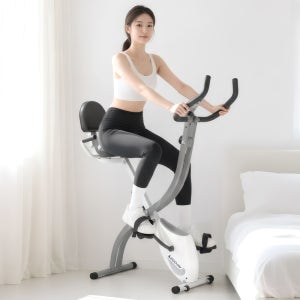 이고진 LPX1 접이식 실내자전거 헬스 홈트 사이클 유산소 운동기구 가정용 바이크