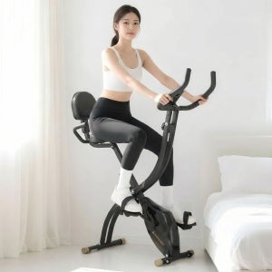 이고진 LPX1 접이식 실내자전거 헬스 홈트 사이클 유산소 운동기구 가정용 바이크