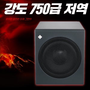 Neumann KH750 DSP / 노이만 KH750 DSP 10인치 서브우퍼