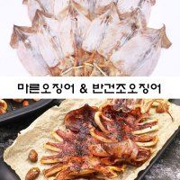 [여수물산] 마른오징어 반건조오징어 당일바리 건조오징어 (10미) 국산 100%