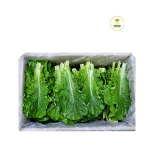 로메인 (1박스/2kg)