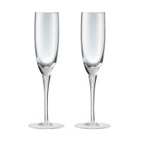 Denby Champagne Flutes 덴비 샴페인 플루트 세트