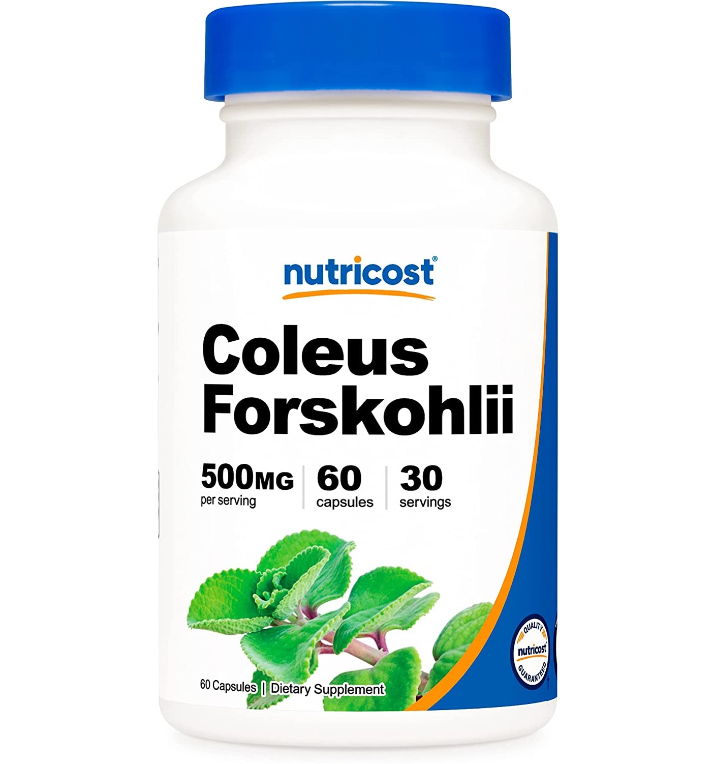 포스콜린 500mg 60캡슐 뉴트리코스트 <b>Coleus Forskohlii</b>