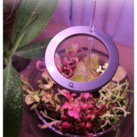 식물생장등 LED 스펙트럼 USB 다육 실내 식물등