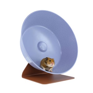 로디펫 유레카 마라톤휠 [청보라] 30cm 외