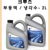 크루즈 부동액 2L - P93742646