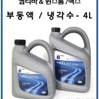 캡티바 윈스톰 윈스톰맥스 부동액 4L - P93742647