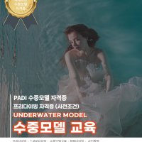 수중모델 자격증 교육 및 투어 / 수중촬영 서울 프리다이빙 K26 스킨스쿠버 수중스튜디오