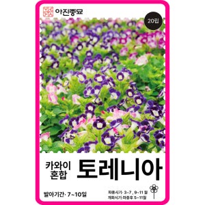 토레니아 씨앗 20립 / 카와이 혼합 꽃잔디 F1교배종 꽃씨 몰 고급 종자 야생화