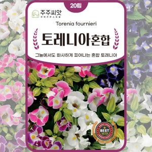 토레니아씨앗 토레니아 혼합 종자 20립 / 꽃씨몰 봄 가을 토레이나 위쉬본 Torenia