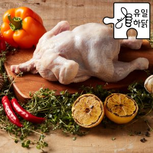 [유일하닭] 냉장 9호 생 닭 손질 1마리