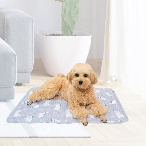 영메디칼바이오 폴라베어 강아지 쿨매트 소형 반려동물 고양이 애견 여름 방석 매트