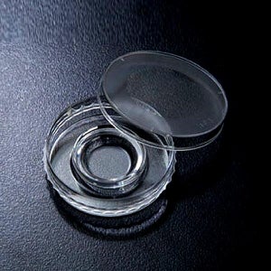 사이언스119 IVF Culture Dish-2/SPL/JS-32282