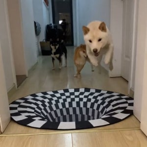 착시 싱크홀 매트 강아지 고양이 낚시놀이 3D 러그 SNS 몰카 장난감 트릭아이 함정 기본