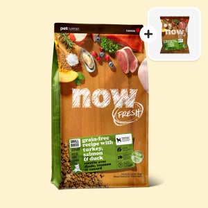 나우사료 시니어 스몰브리드 2kg 강아지사료 노견 노령견+샘플 3개