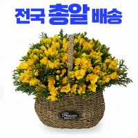 후리지아 꽃바구니배달 전국 꽃배달서비스