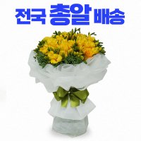 전국꽃배달서비스 후리지아 꽃다발