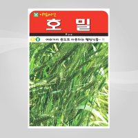 슬로시 호밀씨앗 재배용 호밀씨 600g 아람