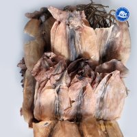 장수왕 국산 못난이 파품 건오징어 500g (8-12마리내외) /중부시장도매 마른오징어