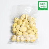 생알밤 생율 국산밤 이동근밤 500g 풋풋 깐알밤 농장 햇밤 깐