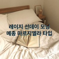 레이지선데이모닝 프래그런스 오일 메종마르지엘라 타입 니치 향수 만들기 디퓨저 캔들 재료