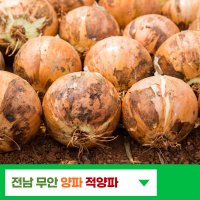 양파 15kg 적양파 깐양파 다마내기 4kg 10kg 무안 20키로한망 양파먹는법 자색