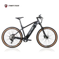 트위터전기자전거 E300후륜구동 SRAM NX11단 350W 16A 발로가고급사은품증정