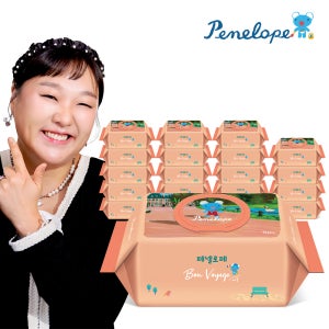 페넬로페 아기물티슈 본보야지 메종 캡형 70매, 20개