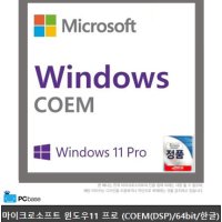 마이크로소프트 윈도우 11 Pro (DSP 64bit 한글)